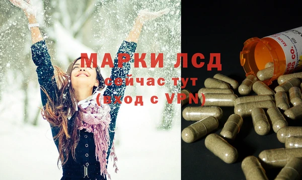 круглые Аркадак