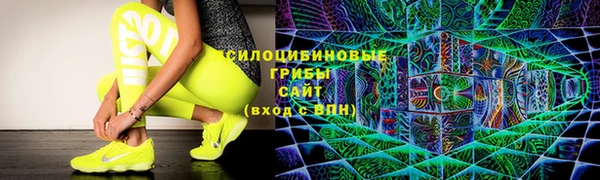 круглые Аркадак
