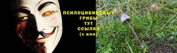 бутират Армянск