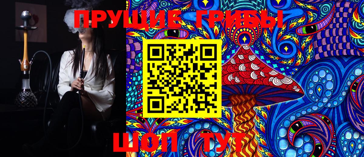 Псилоцибиновые грибы Psilocybine cubensis  Галлюциногенные грибы Cubensis  купить   Вход с VPN  Пушкино 