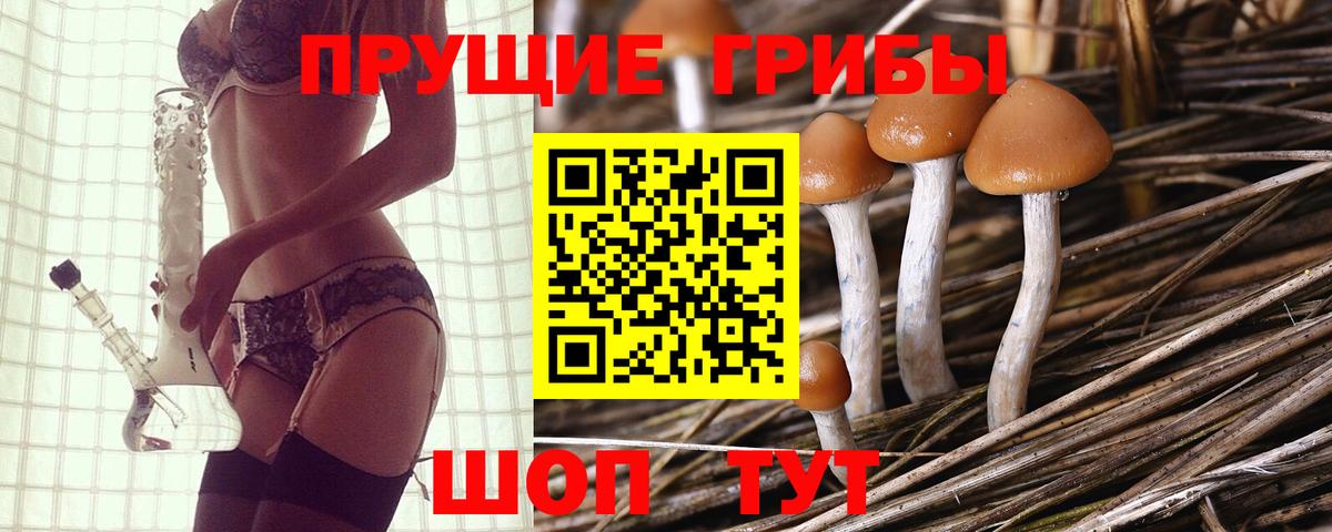 Галлюциногенные грибы GOLDEN TEACHER Пушкино